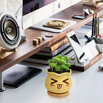 Charming Yangbaga Succulent Pots with Bamboo Tray Set