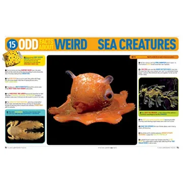 5,000 Awesome Facts Book for Kids - National Geographic