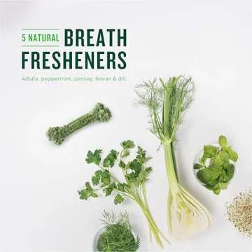 Minties Dental Chews for Dogs, 80 Count, Vet-Recommended Mint-Flavored Dental Treats for Tiny/Small Dogs 5-24 lbs, Dental Bones Clean Teeth, Fight Bad Breath, and Removes Plaque and Tartar