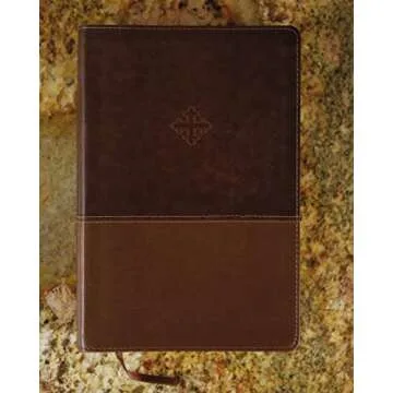 Amplified Study Bible Large Print Perfect Gift