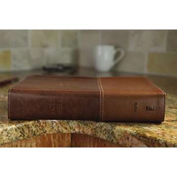 Amplified Study Bible Large Print Perfect Gift