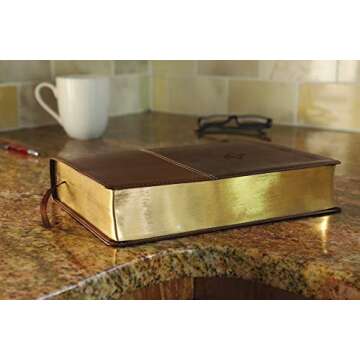 Amplified Study Bible Large Print Perfect Gift