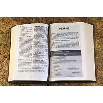 Amplified Study Bible Large Print Perfect Gift