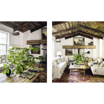 Down to Earth Laid-back Interiors Modern Living Decor Book