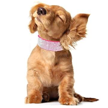 Didog Rhinestone Dog Collar - Made of Soft Velvet Colored Material - Suit for Girl or Female Medium Large Dog Breeds