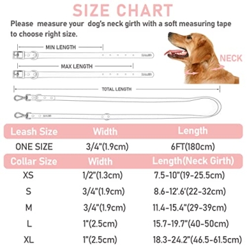 ZALER Waterproof Dog Collar and Leash Set for Any Dog