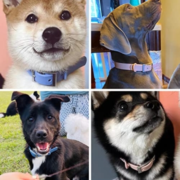 ZALER Waterproof Dog Collar and Leash Set for Any Dog