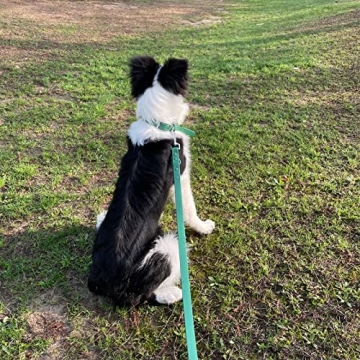 ZALER Waterproof Dog Collar and Leash Set for Any Dog