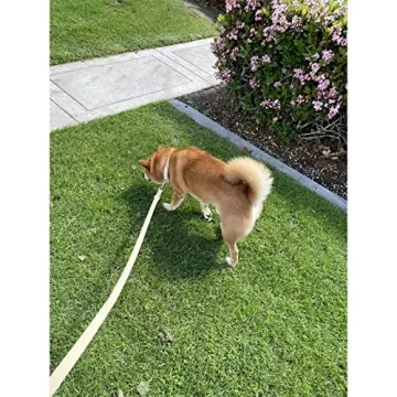 ZALER Waterproof Dog Collar and Leash Set for Any Dog