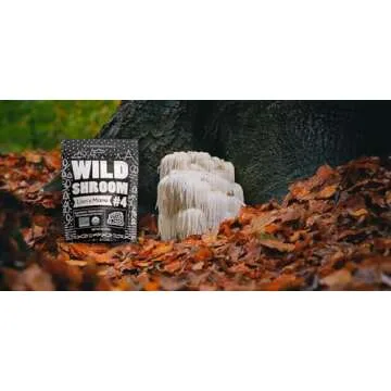 Wild Foods Lion's Mane Powder | Organic Brain Health Supplement