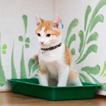 PUPTECK Adjustable Moon Star Cat Collars 3 Pack