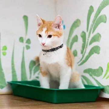 PUPTECK Adjustable Moon Star Cat Collars 3 Pack