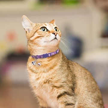 PUPTECK Adjustable Moon Star Cat Collars 3 Pack