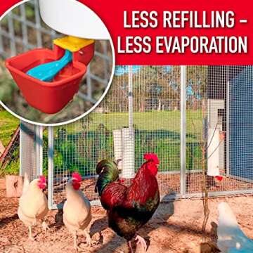 Royal Rooster Chicken Feeder and Chicken Waterer Set - 7 lb Poultry Chicken Feeder with Rain Cover a...