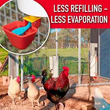 Royal Rooster Chicken Feeder and Chicken Waterer Set - 7 lb Poultry Chicken Feeder with Rain Cover a...