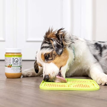 Hyper Pet IQ Treat Lick Mat for Healthy Pet Meals