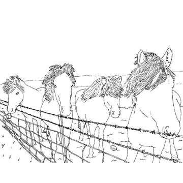 Adult Coloring Book: Exploring Scandinavia