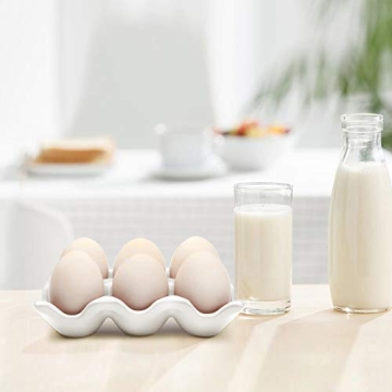 Elegant Flexzion Ceramic Egg Holder for Kitchen Display