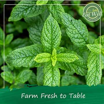 Eat Well Premium Foods Peppermint Tea Bags, 100 bags Bulk Size 6.7 oz, 100% Natural Peppermint Leaves Tea, Tea for Home or Office, Herbal Tea Bags, Herbal Tea Gift, 100 Herb Tea Bags in Re-Sealable Pack