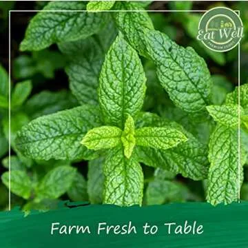 Eat Well Premium Foods Peppermint Tea Bags, 100 bags Bulk Size 6.7 oz, 100% Natural Peppermint Leaves Tea, Tea for Home or Office, Herbal Tea Bags, Herbal Tea Gift, 100 Herb Tea Bags in Re-Sealable Pack