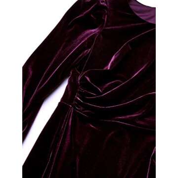 Calvin Klein Women's Long Sleeve Velvet Sheath with Draping Detail, Aubergine, 2 Petite