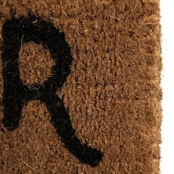 Charming Bonjour/Au Revoir Coir Doormat for Your Home