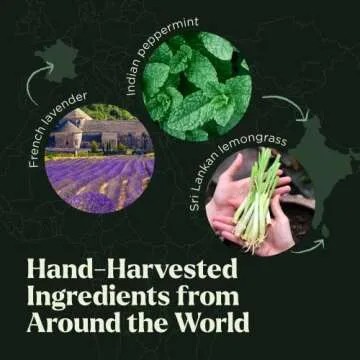 Essential Oils Set - 10pc Aromatherapy in Travel Bag