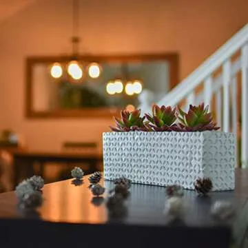 Artificial Succulents in Pots - Lifelike Table Centerpieces