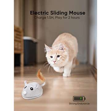 Petchain Interactive Cat Toy, Cat Toys for Indoor Cats Cat Feather Toys Automatic Cat Toy Cat Mouse ...