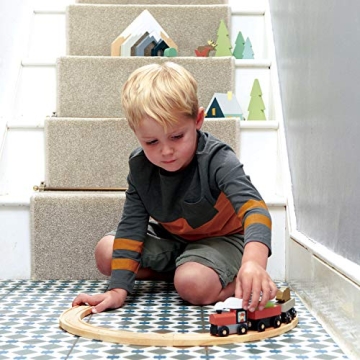 Tender Leaf Treetops Train Set for Creative Kids