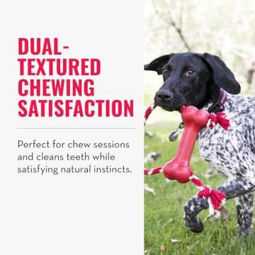 KONG Goodie Bone with Rope - Classic Durable Natural Rubber Dog Bone, Supports Mental Engagement - Treat Dispensing - Red - for Medium Dogs