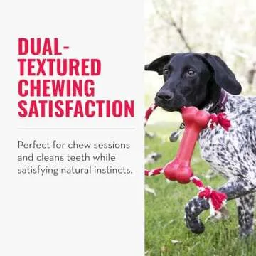 KONG Goodie Bone with Rope - Classic Durable Natural Rubber Dog Bone, Supports Mental Engagement - Treat Dispensing - Red - for Medium Dogs