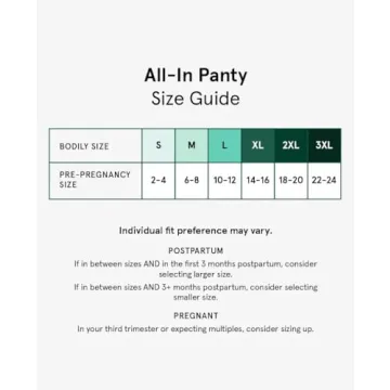 Bodily All-In Panty for Maternity & Postpartum Comfort