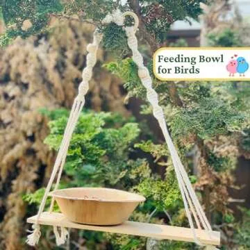 Dtocs Palm Leaf Bowl Set 5.5 Inch Round (100) | Bamboo Bowl Disposable Like Eco-friendly Fruit Serving Bowl, Soup Bowl, Ice cream Bowl Dinnerware Set | Compostable Alternate to Wooden Paper Bowl