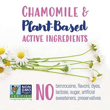 Boiron Camilia Drops 40 Count (Pack of 2) Relief of Painful or Swollen Gums and Irritability in Babies - for Daytime and Nighttime - Liquid Drop for Baby