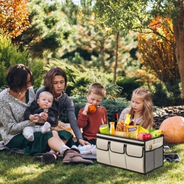 Car Trunk Organizer with Lid - Durable & Collapsible