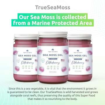 TrueSeaMoss Wildcrafted Irish Sea Moss Gel - Made with Dried Seaweed & Fresh Sea Vegetables, Seamoss - Made in USA (Elderberry, Pack of 1)