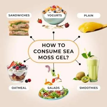 TrueSeaMoss Wildcrafted Irish Sea Moss Gel - Made with Dried Seaweed & Fresh Sea Vegetables, Seamoss - Made in USA (Elderberry, Pack of 1)