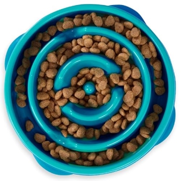Outward Hound Fun Feeder Slo Bowl - Interactive Slow Feeder for Dogs, Medium/Mini, Turquoise