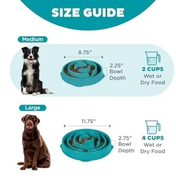 Outward Hound Fun Feeder Slo Bowl for Dogs