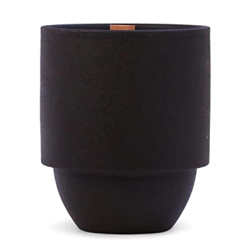 Paddywax National Parks Artisan Soy Wax Scented Candle Made in the USA, 11-Ounce Textured Ceramic Ja...