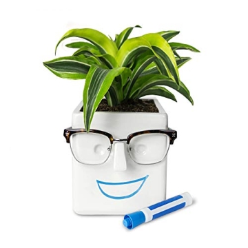 30 Watt Face Plant: The Quirky Planter with Glasses Holder & Customizable Fun
