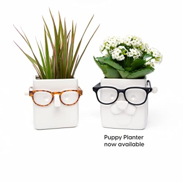 Unique 30 Watt Face Plant Planter & Glasses Holder Gift