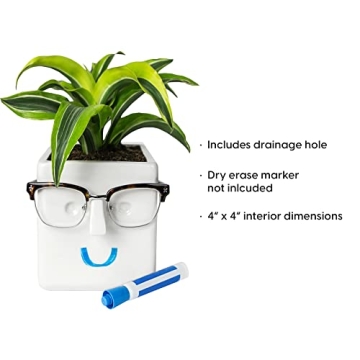 Unique 30 Watt Face Plant Planter & Glasses Holder Gift