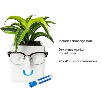 Unique 30 Watt Face Plant Planter & Glasses Holder Gift