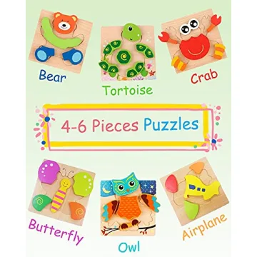 Colorful Wooden Puzzles for Toddlers aged 1-3