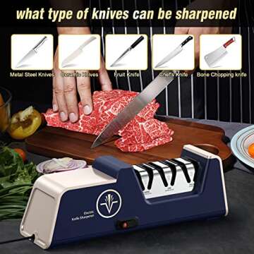 VIDOME Professional Electric Knife Sharpener with 100% Diamond Abrasives and Precision Angle Guides for Kitchen Straight Edge&Ceramic Knife Work Sharp, 3-stage Champagne Gold, afilador de cuchillos