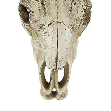 Pine Ridge Southwestern Bull Longhorn Skull - Steer Bull Head, Rustic Chic Wall Hanging Texas Decoration, Polyresin Steer Horns for Wall Sculpture | Replica Real Steer Bull Skull Head