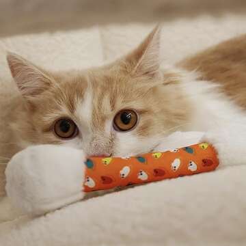 CiyvoLyeen 6Pcs Swabs Catnip Toys Funny Kitten Cat Chew Toys Catnip Filled Teething Interactive Cat Kicker and Stick Soft Cotton Pet Toys Gifts for Indoor Cats