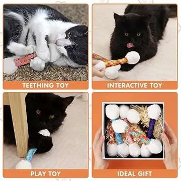 CiyvoLyeen Catnip Toys for Kittens and Cats - 6 Pcs